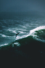 Obraz premium Lone Surfer Riding Dark Stormy Ocean Wave in Dramatic Aerial View