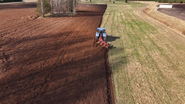 The tractor is preparing the soil before sowing. The birds are flying around. Aerial video.
