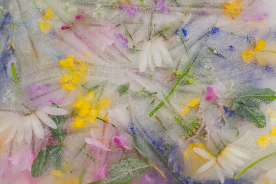 artistic iced wildflower mosaic background