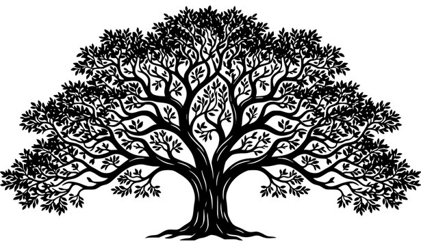 Highly detailed black silhouette of a large spreading oak or banyan tree.