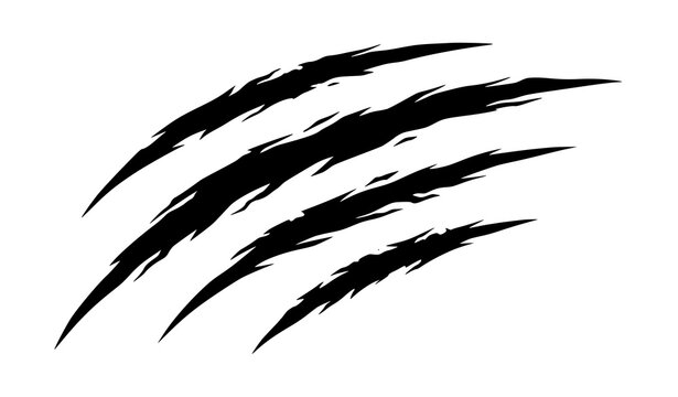 Creative black silhouette of sharp animal claw scratches or rip marks.