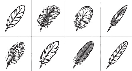 Eight different black and white feather in a grid layout also transparent background, feathers pen feather quill © MeJaMa