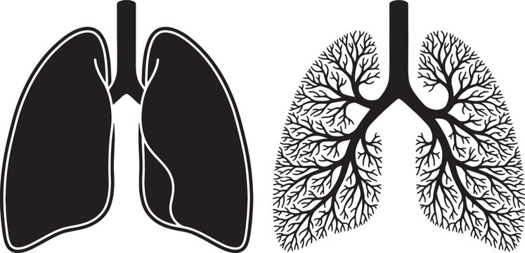 Black and white silhouette of lungs beside tree-like structure of bronchial tubes also transparent background