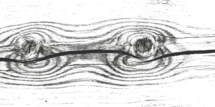 Natural wood grain texture with two dark round knots in a horizontal pine board surface close up