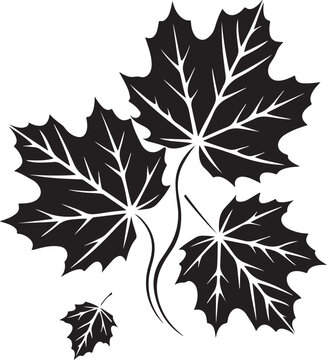 Maple leaves vector illustration, isolated on transparent background, autumn theme nature.