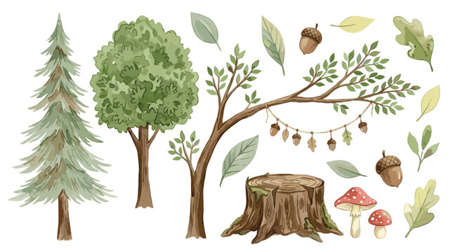 Watercolor Woodland Forest Element Set with Pine Tree Oak Branch Acorn Garland Stump and Mushroom Isolated on White Background for Clipart Designs