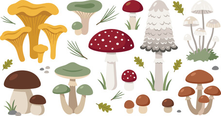Woodland Mushroom Vector Collection with Forest Fungi Plants and Autumn Nature Elements for Botanical Organic and Fantasy Design Projects © MstSuborna