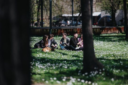 A group of school friends sit on a grassy park lawn talking and sharing a casual picnic. The students relax together outdoors, laughing and studying in spring sunlight.