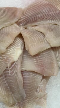 Zander fillet on shallow ice display close-up showing thawed pale flesh and scale pattern, glistening ice crystals, moist texture