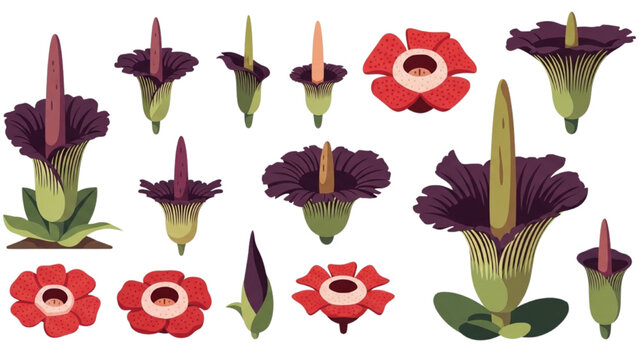 Corpse Flower and Rafflesia Vector Icons: Titan Arum Flat Design, Exotic Giant Blooms in Deep Purple & Earthy Red, Professional Geometric Icon Sheet.