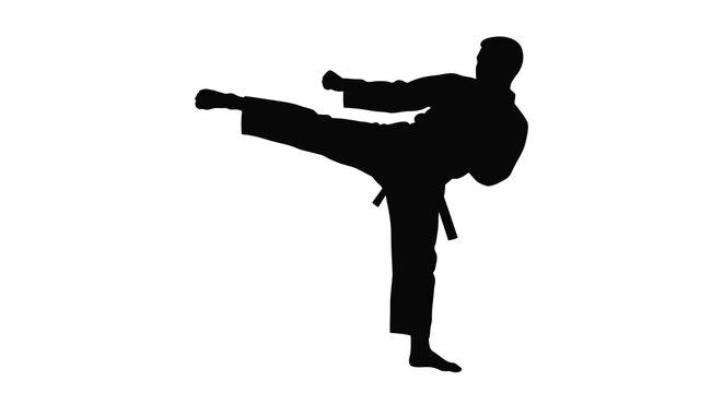 karate practitioner silhouette performing a kick on white background