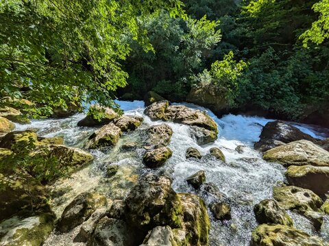 stream in the forest