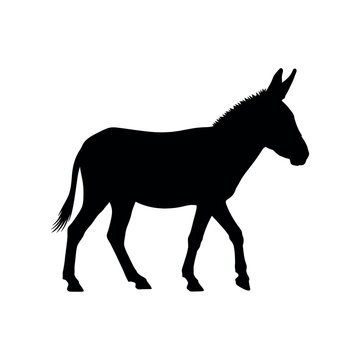 Donkey Silhouette Vector Illustration