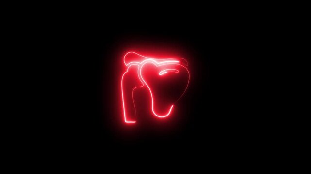 Neon human shoulder joint anatomy animation medical