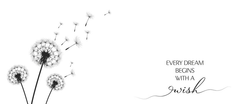 Black Dandelion Silhouette with Flying Seeds. Vector illustration dandelion time. Black Dandelion seeds blowing in the wind. The wind inflates a dandelion isolated on a white background.