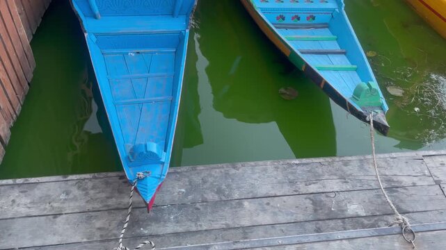 Blue Wooden Boats Docked on Green Water at Lakeside Pier at dal lake sri nagar
