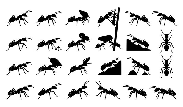 Detailed silhouettes of ants crawling and working in a colony environment.
