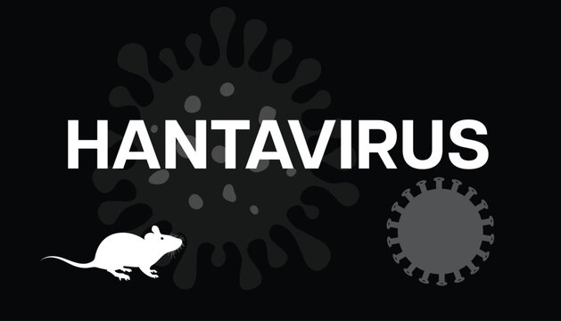 Hantavirus outbreak poster featuring rat and pathogen particle on dark background illustration.
