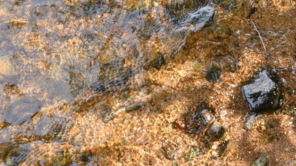 Obraz premium shallow of lake with transparent clean water and sandy bottom. sunny day