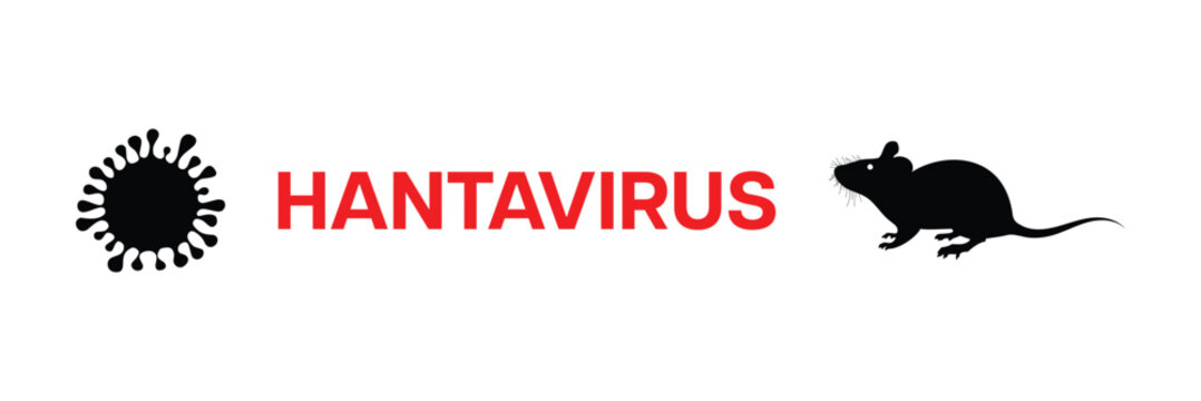 Hantavirus rodent borne virus concept with mouse and pathogen vector illustration.