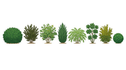Collection of Diverse Green Trees and Shrubs for CAD Designs and Landscape Architecture © akila
