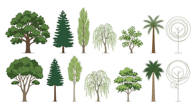 Vector tree set for architectural, landscape, and CAD design; diverse botanical elements for digital projects and professional visualization