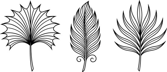 Tropical palm leaves line art vector illustration isolated on white background minimalist black outline feather and foliage sketch elements for logo tattoo design © MdArif