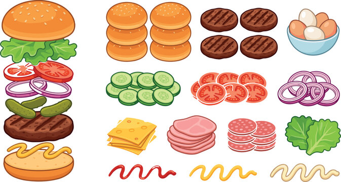 Burger constructor vector illustration with exploded view elements burger buns meat patties cheese tomatoes lettuce onions pickles mustard ketchup mayonnaise sauces and eggs