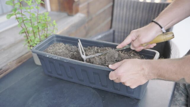 Male hands cultivating and loosening the soil in a long planter pot with a small hand rake