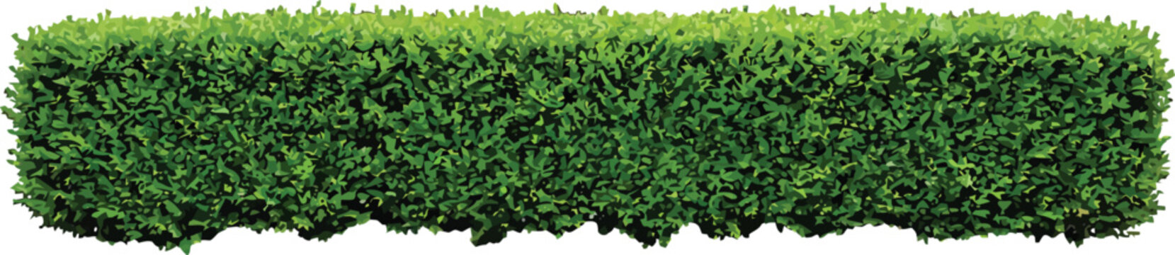 Trimmed green hedge isolated on white background for landscape design and garden architecture projects vector illustration