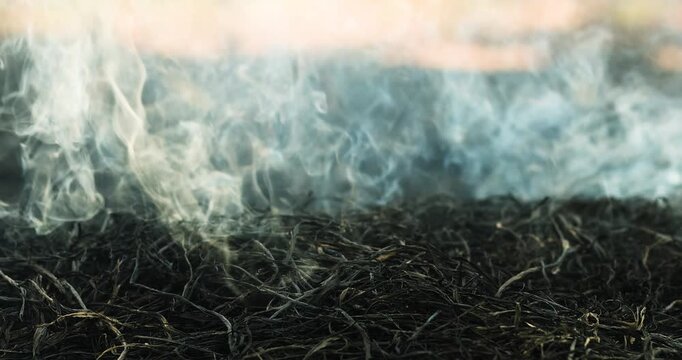 Dense smoke rising from burned branches and debris in a dramatic atmosphere. Ideal for wildfire, pollution, environmental disaster