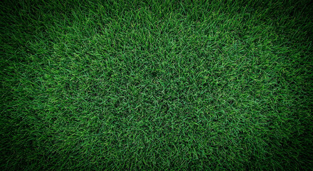 Obraz premium Lush green grass texture background from top view for football field or garden landscaping