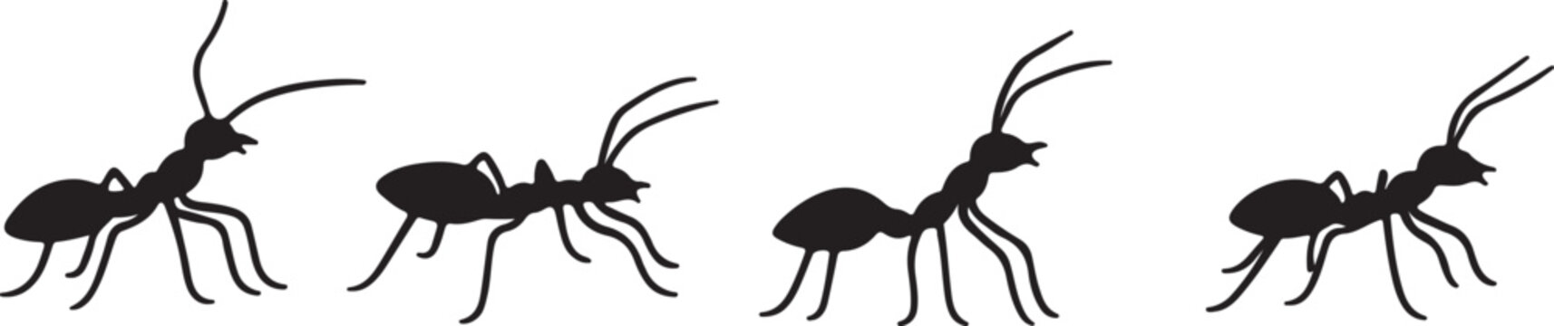 Four black ants walking in a line illustration