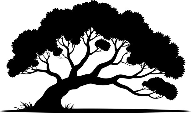 Black silhouette vector of a leaning oak tree with a curved trunk, sprawling branches, and dense canopy, isolated on a white background.