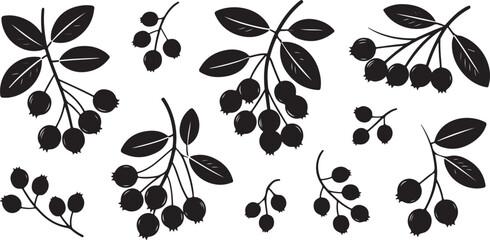 Black silhouette collection of wild berry branches and leaf sprigs for rustic autumn decoration and botanical harvest patterns. © Kamrun82