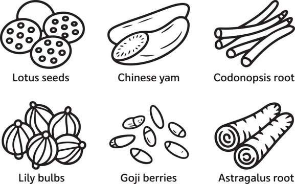 Traditional chinese medicine ingredients icons set featuring healthy herbal roots seeds and dried plant extracts in line style.