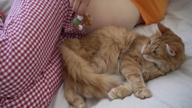 Expectant mother holding a wooden teether over her pregnant belly while her curious ginger cat lies next to her on the bed, showing the bond between pet and owner during pregnancy