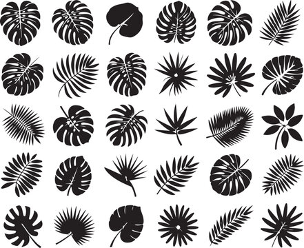 Assortment of tropical leaves, exotic foliage, botanical silhouettes, perfect for summer and nature themed backgrounds.