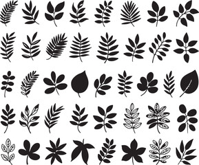 Fototapeta premium Collection of black leaf silhouettes and branches isolated on transparent background for organic nature pattern and forest theme.