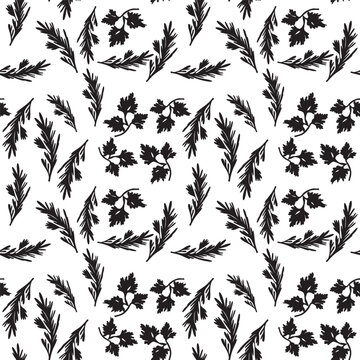 Seamless Botanical Pattern with Rosemary and Cilantro. Culinary pattern. 