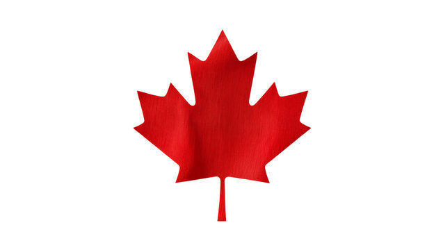Shiny red maple leaf symbol, isolated on transparent background