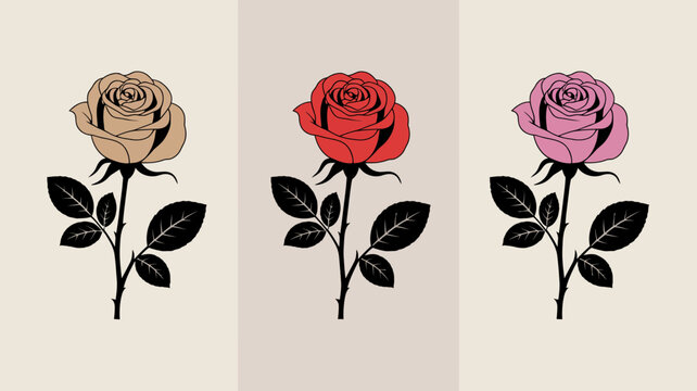 Three roses in varying shades floral illustration with black stems and leaves