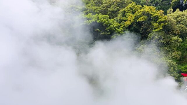 Thick geothermal steam rises from the hot spring at Umi Jigoku. Heavy volcanic vapor covers the lush green hillside in Beppu. Hot mist billows continuously over the tropical trees of natural resort