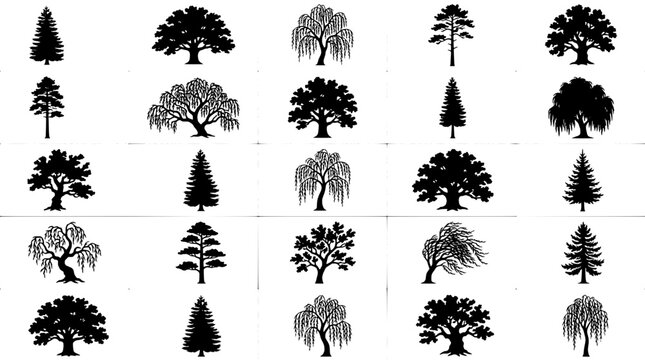 Trees set with various styles and shapes including pine, oak, and weeping willow featuring nature, forest, plants with vegetation and black and white
