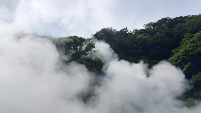 Thick geothermal steam rises from the hot spring at Umi Jigoku. Heavy volcanic vapor covers the lush green hillside in Beppu. Hot mist billows continuously over the tropical trees in Japan.