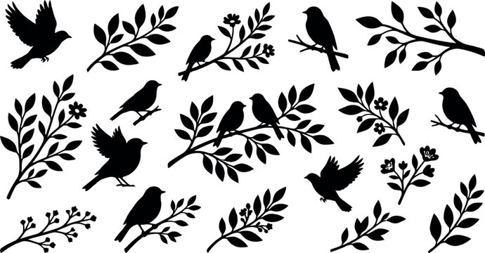 Bird and branch silhouettes on a white background