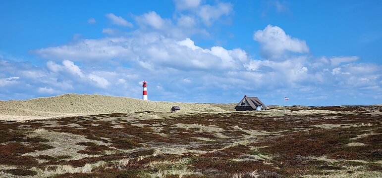 Sylt, Ellenbogen