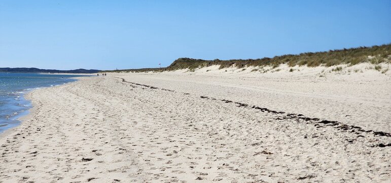 Sylt, Ellenbogen