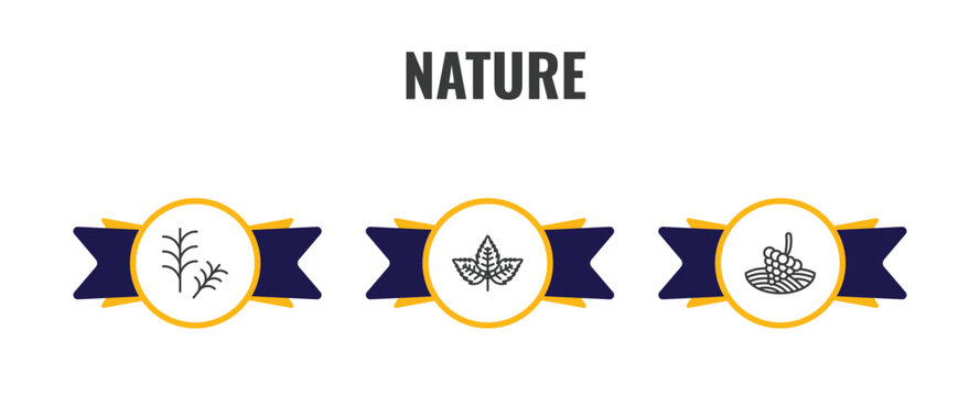 nature outline icon set. thin line rosemary, straberry leaf, vineyard icons. editable vector