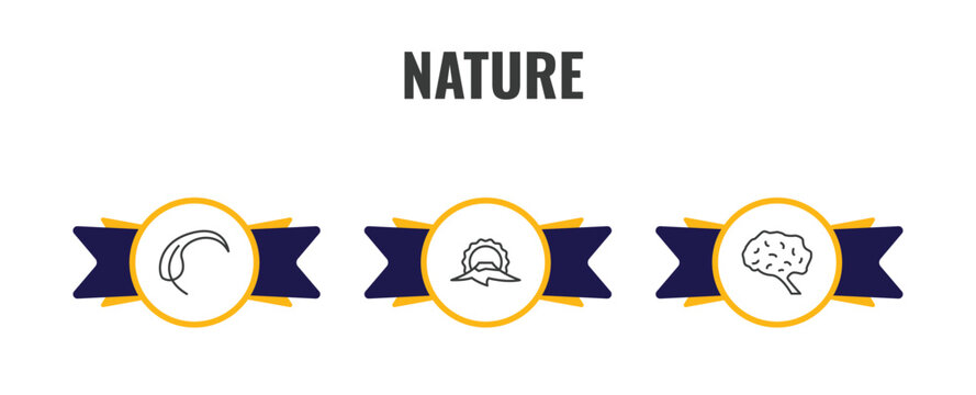 nature outline icon set. thin line falcate, japanese, human brian icons. editable vector